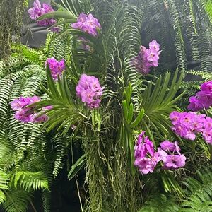 Meet your Posher, Kara